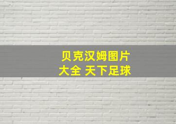 贝克汉姆图片大全 天下足球